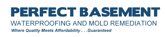 Perfect Basement Waterproofing and Mold Remediation NJ
