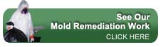 See our mold remediation work