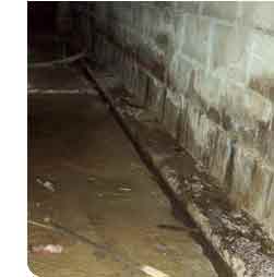 Perfect Basement Waterproofing and Mold Remediation NJ