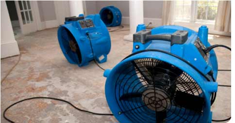 Perfect Basement Waterproofing and Mold Remediation NJ